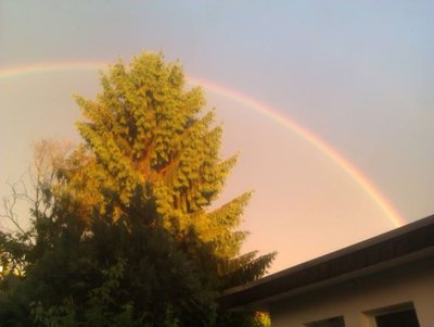 RegenbogenWahnheide.jpg