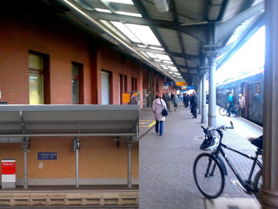 Bahnsteigdach 456988.jpg