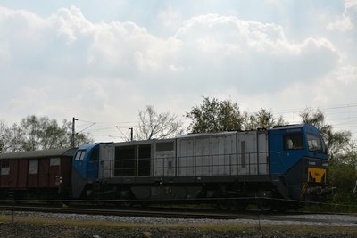 800-GPK_0517_DxO.jpg
