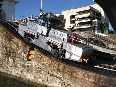 800px-Mule_in_the_Miraflores_Locks.JPG