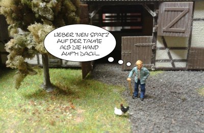 Tauben.jpg