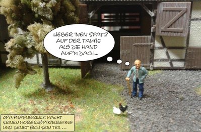 01Tauben.jpg