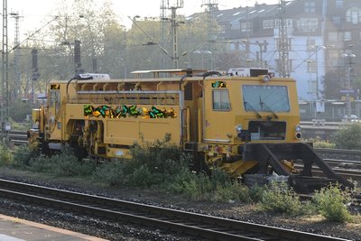 schmetterlinge.jpg