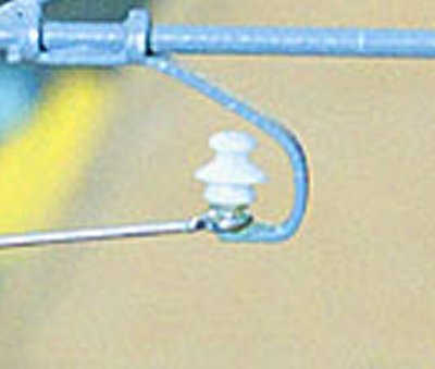 Image1.jpg