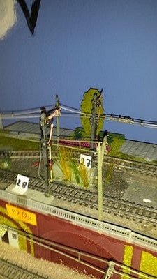 20160103_155754[1].jpg