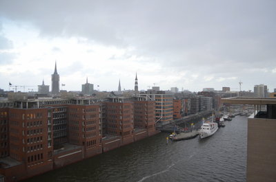 Elphi (8).JPG