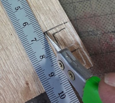 07_cut.jpg