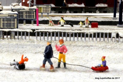 DSC_6858_neu.jpg