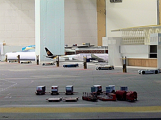 P1050142-234568.jpg