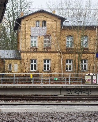 Unter Palmen im weißen Sand.jpg