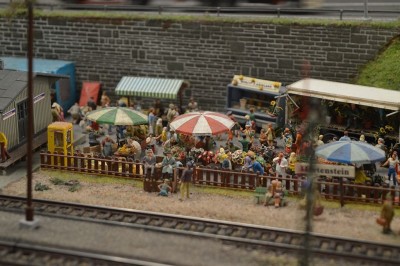 DSC_0785.JPG