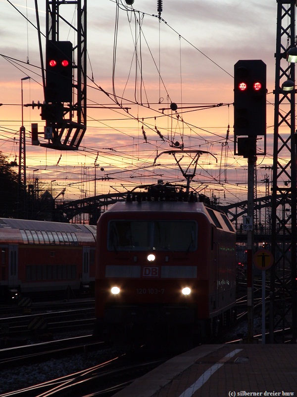 DSC03239.JPG