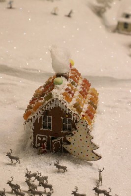 IMG_4507.JPG