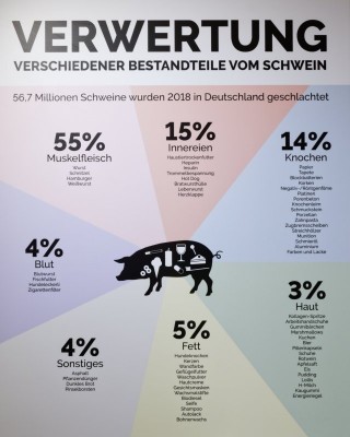 Sauteiletortendiagramm.jpg