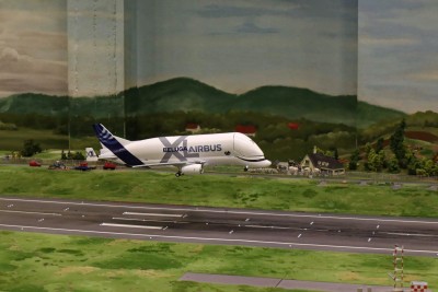 IMG_1006_DxO.jpg
