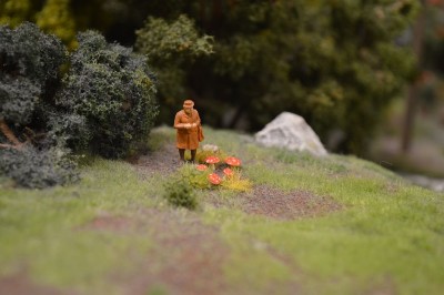 DSC_0108.JPG