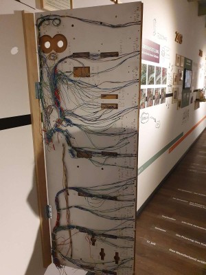 20220225_112910.jpg