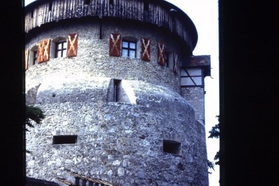 Detail.JPG
