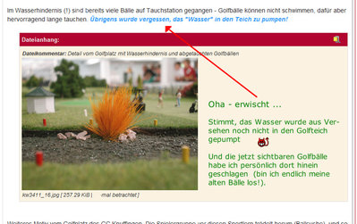 wassermarsch.jpg