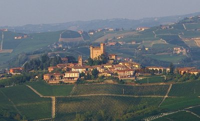 barolo1_head.jpg