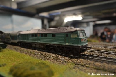 DSC_1509.JPG