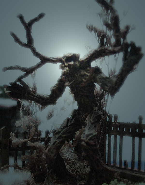 3b tree.jpg